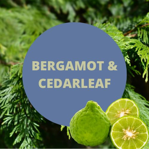 Payden's Cobalt Bergamot & Cedarleaf For Men Scented Body Spray, 4 Oz