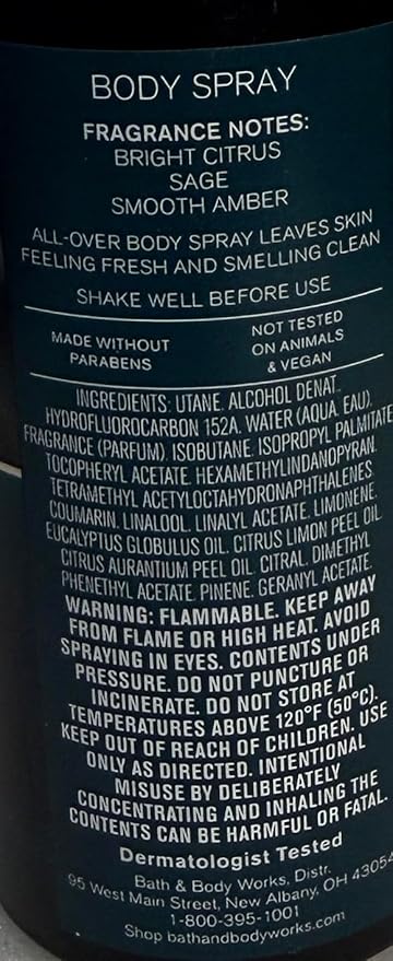 Bath & Body Works Football Season Men's Body Spray 3.7 Ounces