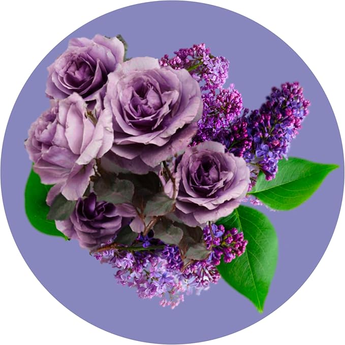 Routine Wellness Anti-Thinning Volumizing Shampoo and Conditioner Set for Thinning Hair & Hair Loss - Grow Your Confidence with Biotin & DHT Blockers - Lilac & Winter Rose Set