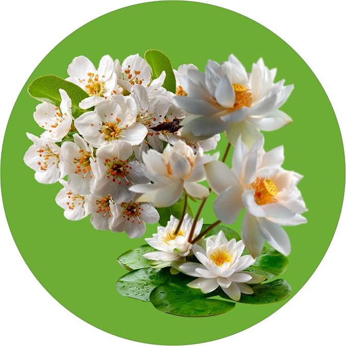 Routine Wellness Anti-Thinning Volumizing Shampoo for Thinning Hair & Hair Loss - Grow Your Confidence with Biotin & DHT Blockers - 14 oz Shampoo - Pear Blossom & White Lotus