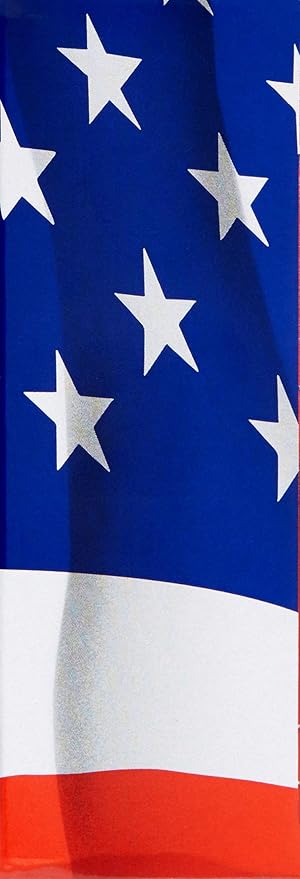 America | America | Eau de Toilette | Fragrance for Men | Woody Spicy Scent | 1.7 oz