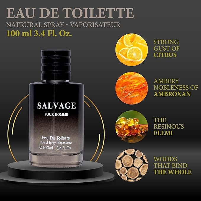 Salvage for Men 3.4 Oz Men's Eau De Toilette Spray Refreshing & Warm Masculine Scent for Daily Use Men's Casual Cologne Great Holiday Gift Smell Fresh All Day A Gift for Any Occasion