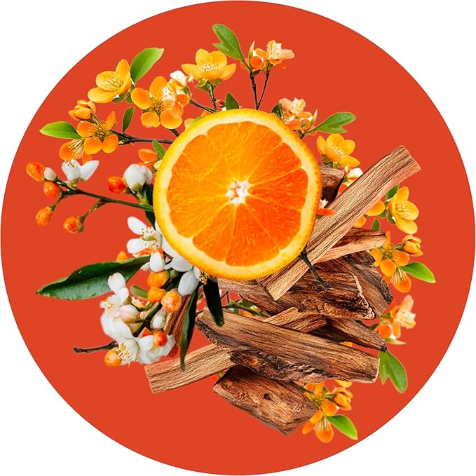 Routine Wellness Anti-Thinning Volumizing Shampoo for Thinning Hair & Hair Loss - Grow Your Confidence with Biotin & DHT Blockers - 14 oz Shampoo - Orange Blossom & Sandalwood