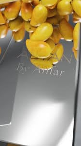 Adyan Musc Mango Extrait de Parfum – Tropical Delights Collection Unisex Perfume | 100ml