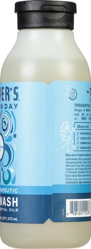 Mrs. MEYER'S CLEAN DAY Moisturizing Body Wash for Women and Men, Shower Gel Formula Made with Essential Oils, Rain Water, 16 oz (Pack of 2)