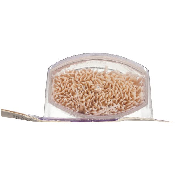 The Doctor's BrushPicks Toothpicks, 275 Picks Per Pack (2 Packs)