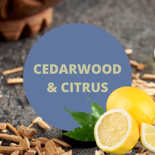 Payden's Cobalt Cedarwood & Citrus For Men Scented Body Spray, 4 Oz (2 Pack)