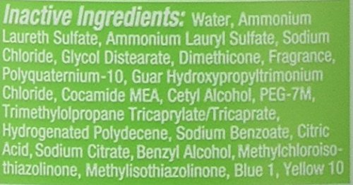 Pert Anti-Dandruff 2 in 1 Shampoo and Conditioner - Pack of 2 For Unisex 13.5 oz Shampoo and Conditioner