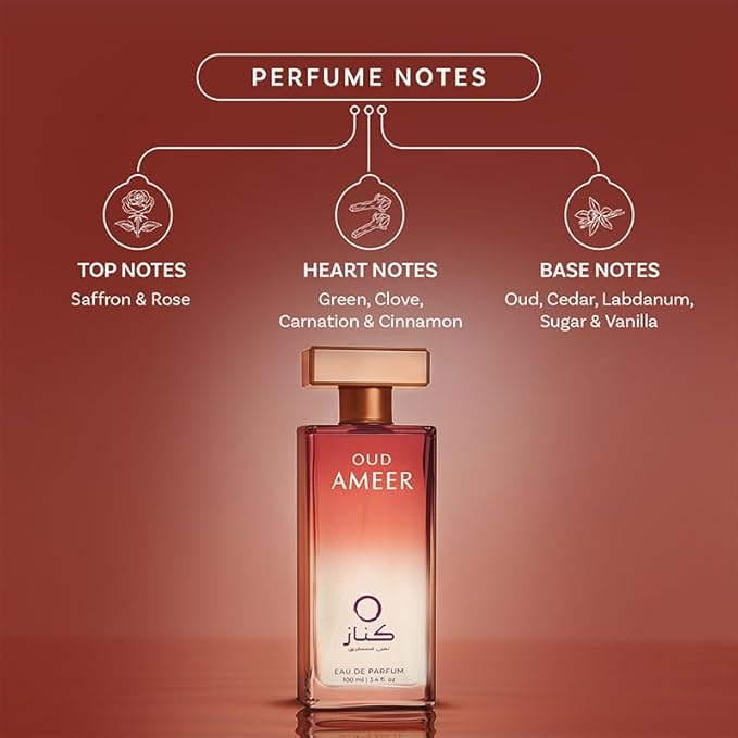 OUD AMEER | Men's Fragrance | Perfume for Men | Musky top note | 100 ml pack | 3.4 Fl. Oz. | Amber and Oriental fragrance | Gift for Men | Eau de Parfum EDP