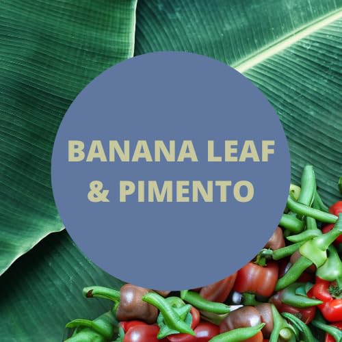 Payden's Cobalt Banana Leaf & Pimento For Men Scented Body Spray, 4 Oz