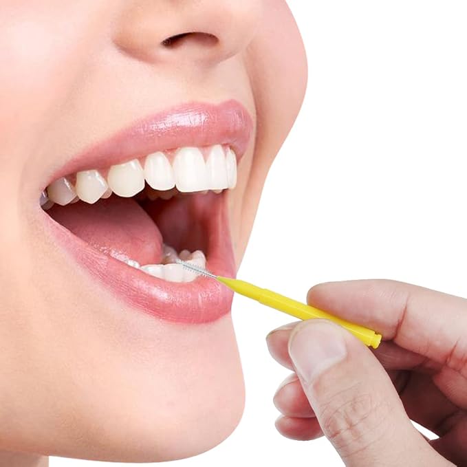 ewinever 100 Pieces Interdental Brush, Toothpicks Tooth Flossing Head Oral Dental Hygiene Brush, Braces Teeth Cleaner Dental Floss Stick Tooth Cleaning Tool
