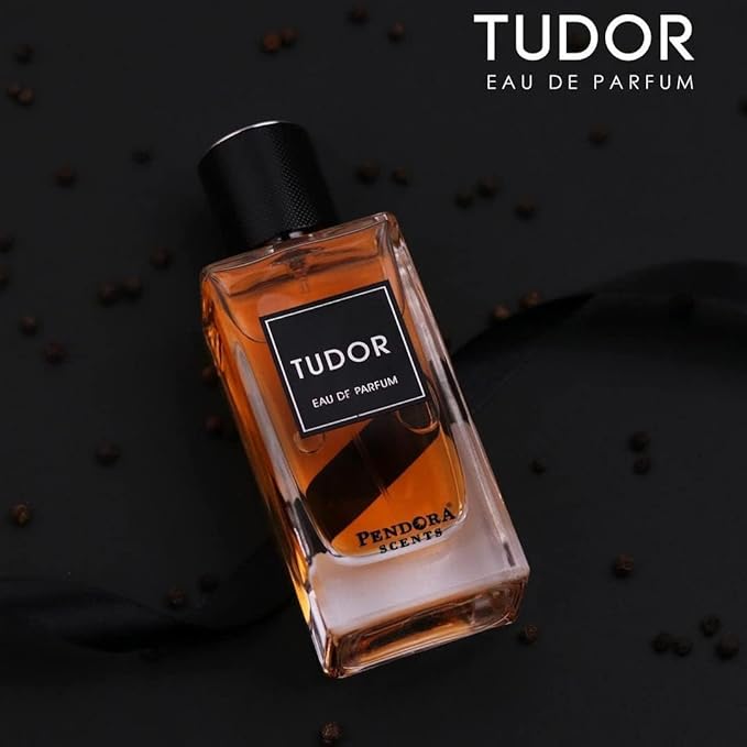 Paris Corner TUDOR Men’s Perfume 3.4 Fl Oz EDP Perfumes