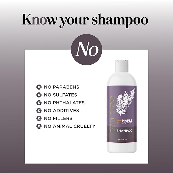 Tea Tree Shampoo for Oily Hair - Paraben and Sulfate Free Clarifying Shampoo for Build Up and Dry Scalp with Tea Tree Oil for Hair - Purifying Aromatherapy Tea Tree Oil Shampoo for Greasy Hair