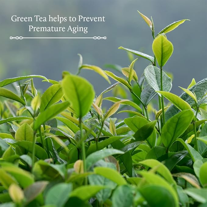 Blue Nectar Green Tea Face Moisturizer for Oily Skin with Vitamin C, Rosehip Oil & 14 Ayurvedic Herbs