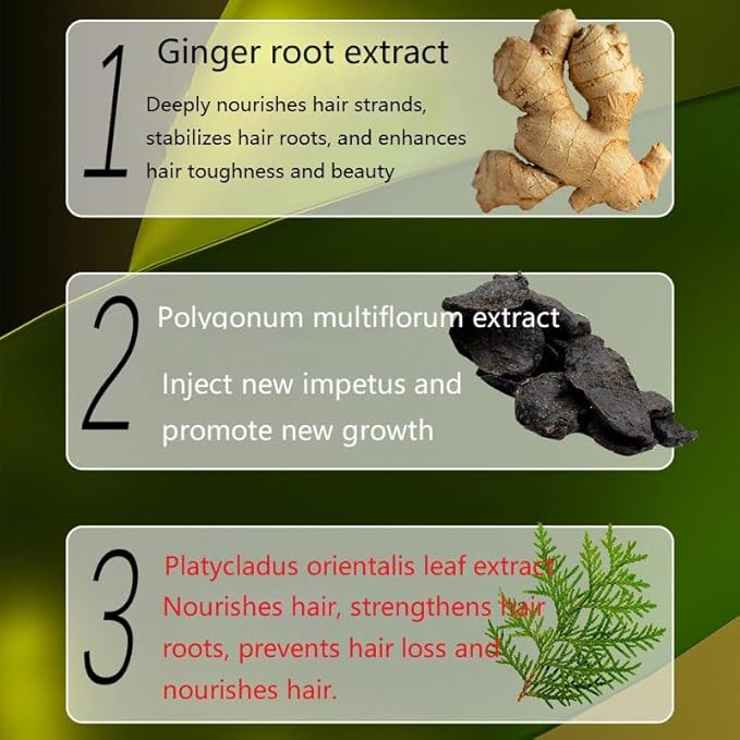 2 Box Ginger Plant Extract Shampoo for Hair Growth and Anti-Loss Control, Hair Growth Oil Care by Ginaday