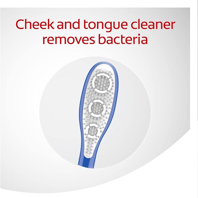 Colgate 360 Adult Toothbrush, Medium (4 Count)
