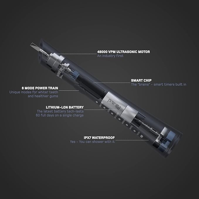 Wagner Stern ultrasonic whitening Electric Toothbrush with 8 Charcoal Black Brush Heads. for Fresh Breath & Healthy Smile. (Charcoal)