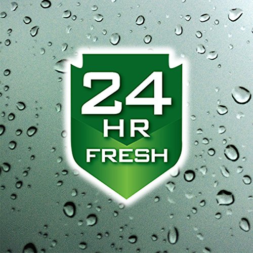Irish Spring Moisturizing Men's Body Wash Shower Gel, Moisture Blast - 18 Fluid Ounce (2 Pack)