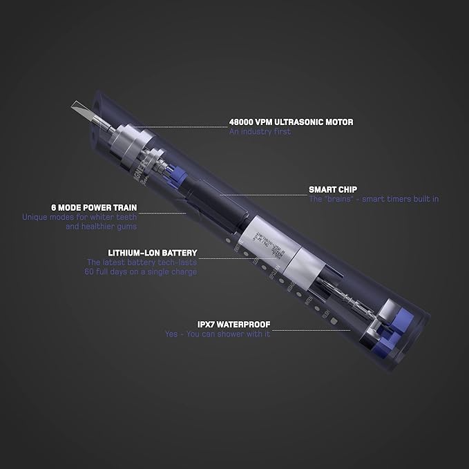 Wagner Stern ultrasonic whitening Electric Toothbrush with 8 Charcoal Black Brush Heads. for Fresh Breath & Healthy Smile. (Blue)