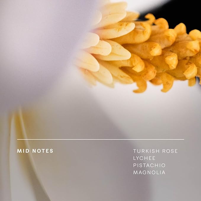 Future Society Solar Canopy Perfume - Rich Fruity Floral Eau de Parfum with Notes of Bergamot, Rose, Vetiver & Sugar - Luxury Perfume Inspired by Hawaiian Hibiscus - Modern Unisex Fragrance - 50ml