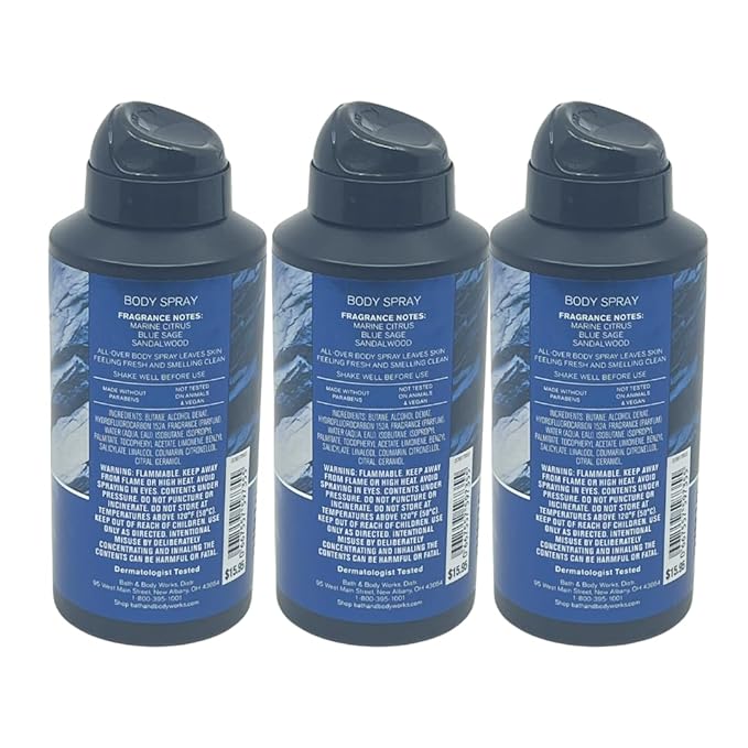 Bath & Body Works Clean Slate Body Spray - Gift Pack for Holiday - Pack of 3