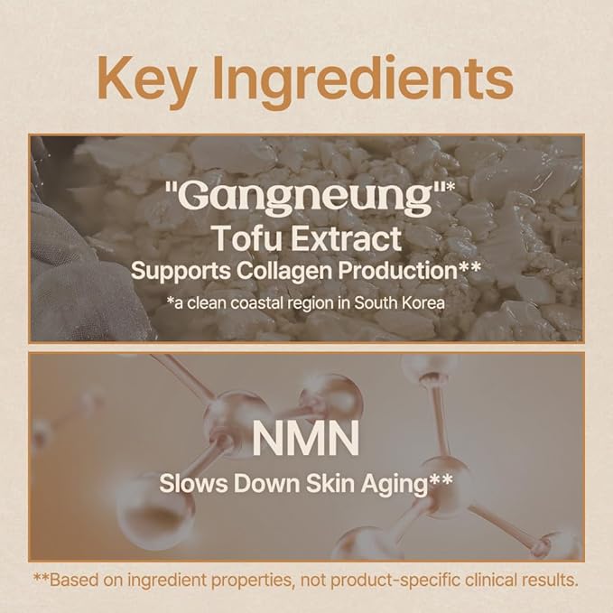 Soy Protein Tofu Pudding Face Cream 50ml – Lightweight Anti-Aging Moisturizer with Bouncy Texture, Hydrating Wrinkle Cream for Women & Men, Day & Night Facial Cream