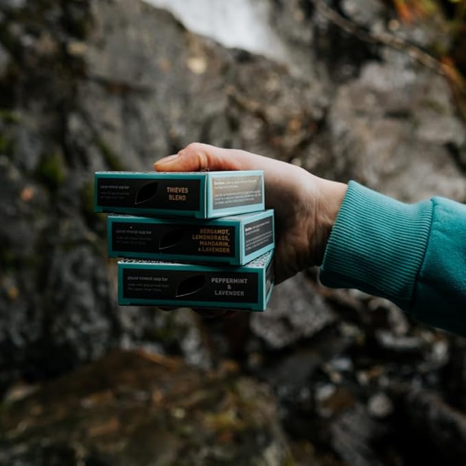Alaska Glacial Cold-Process Mineral Clay Soap Bar made with Organic Oils | Face, Body, Shampoo & Shave | Hydrates & Detoxifies | For All Skin Types – Thieves Blend, 2 Pack