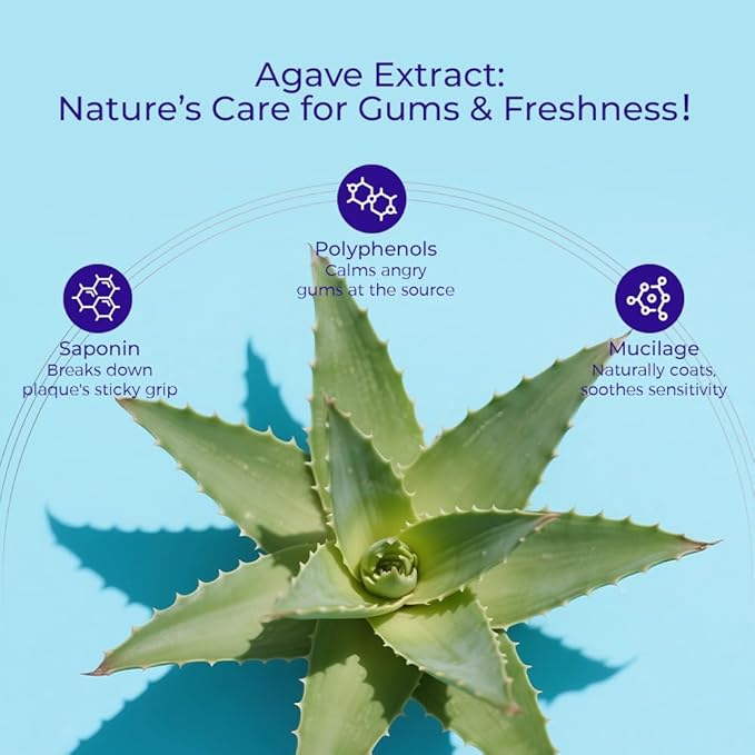 Agave Sensitive Toothpaste, Fluoride-Free Natural Whitening Toothpaste for Sensitive Teeth, Gentle Gum Care, Removes Surface Stains, Fresh Mint Herbal Formula, 1Pk US Manufactured