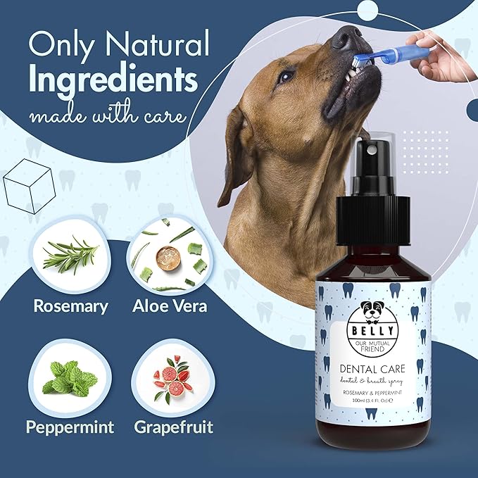 Belly Dog Breathe Freshener for Bad Breath - Fresh Mint - Eliminates Bad Breath, Plaque & Tartar Build-Up - No Rinse, No Brush - Dog Breath Spray with Aloe Vera and Grape Fruit - Made in Germany, 3oz