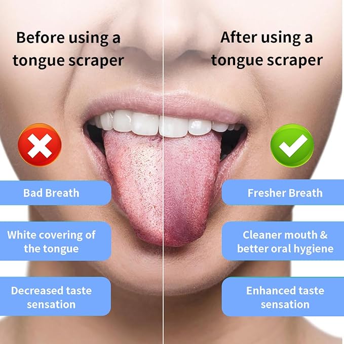 JTF Sonic Electric Toothbrush for Adults: 6 Brush Heads, Travel Bag, Tongue Scraper, 5 Brushing Modes for Teeth, Smart Timer and IPX7 Waterproof, Rechargeable Toothbrush for Deep Cleaning & Whitening