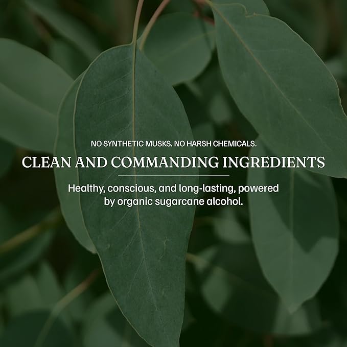 Hardworking Gentlemen Eucalyptus & Bergamot Body Mist For Men, 3.38 oz | 100 ml - A Refreshing Scent Blends Cooling Eucalyptus with Bright, Citrusy Bergamot - Made in the USA