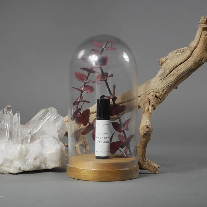 ENVIRONMENT Inspired by 5-Star Resort MRT 10ml Roll-on Perfume (Grapefruit | Red Currant | Jasmine) Body Oil Fragrance, Roll On Oil, Body Fragrance for Women & Men, Luxury Scents, Vegan & Cruelty-Free