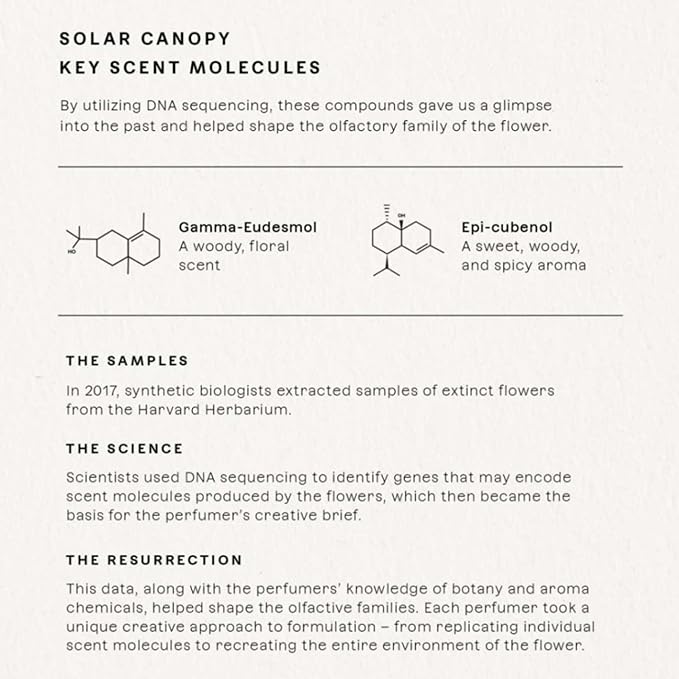 Future Society Solar Canopy Perfume - Rich Fruity Floral Eau de Parfum with Notes of Bergamot, Rose, Vetiver & Sugar - Luxury Perfume Inspired by Hawaiian Hibiscus - Modern Unisex Fragrance - 50ml