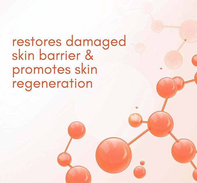 Anti Aging Face Moisturizer - Niacinamide & Vitamin C & E Face Cream for Women - Wrinkle Cream for Men - Face Moisturizer for Aging Skin - Firming Korean Collagen Boost Cream - 30G