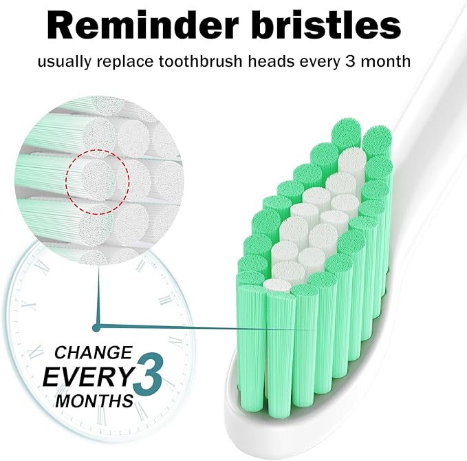 Replacement Toothbrush Heads for Philips Sonicare E-Series/Essence/Xtreme/Elite and Other Screw-on Electric Toothbrush Models, 2 Pack, Dupont Bristles with Protective Cover