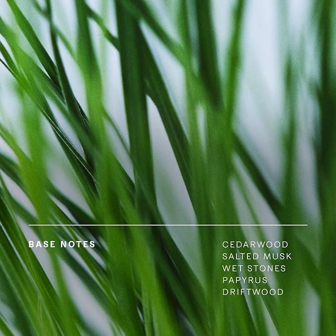 Future Society Floating Forest Perfume - Rich Aquatic Floral Eau de Parfum with Notes of Bergamot, Freesia, Rose & Mask - Luxury Perfume Inspired by Rainforests - Modern Unisex Fragrance - 50ml