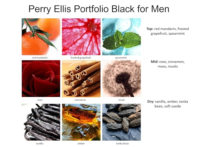 Perry Ellis Portfolio Black Eau De Toilette Spray for Men, 3.4 Ounce