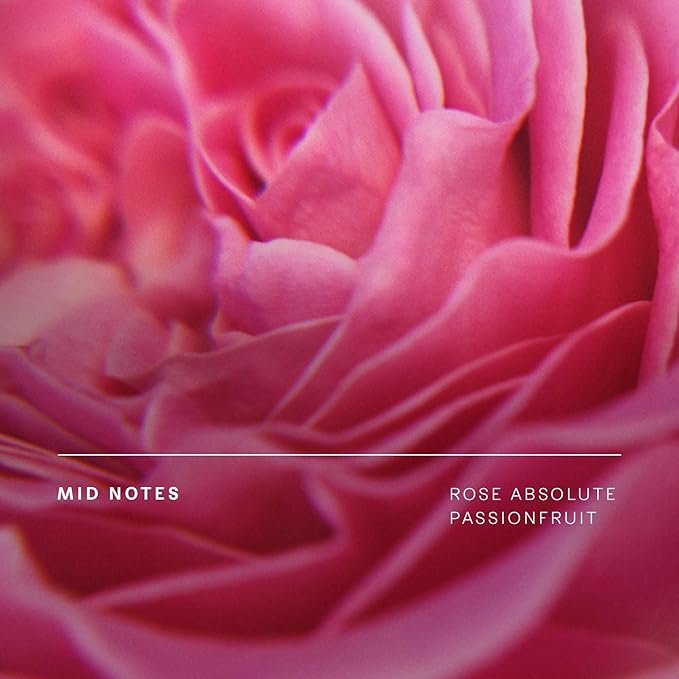 Future Society Haunted Rose Perfume - Rich Smoky Floral Eau de Parfum with Notes of Pepper, Rose, Amber & Sandalwood - Luxury Perfume Inspired by Africa's Flower - Modern Unisex Fragrance - 50ml