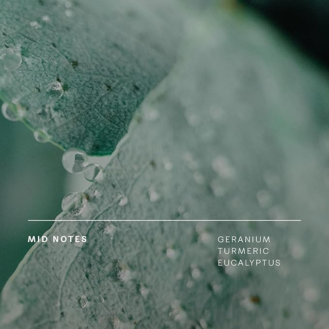 Future Society Reclaimed Flame Perfume - Rich Citrus Eau de Parfum with Notes of Bergamot, Grapefruit & Eucalyptus - Luxury Perfume Inspired by Africa's Wildflower - Modern Unisex Fragrance - 50ml