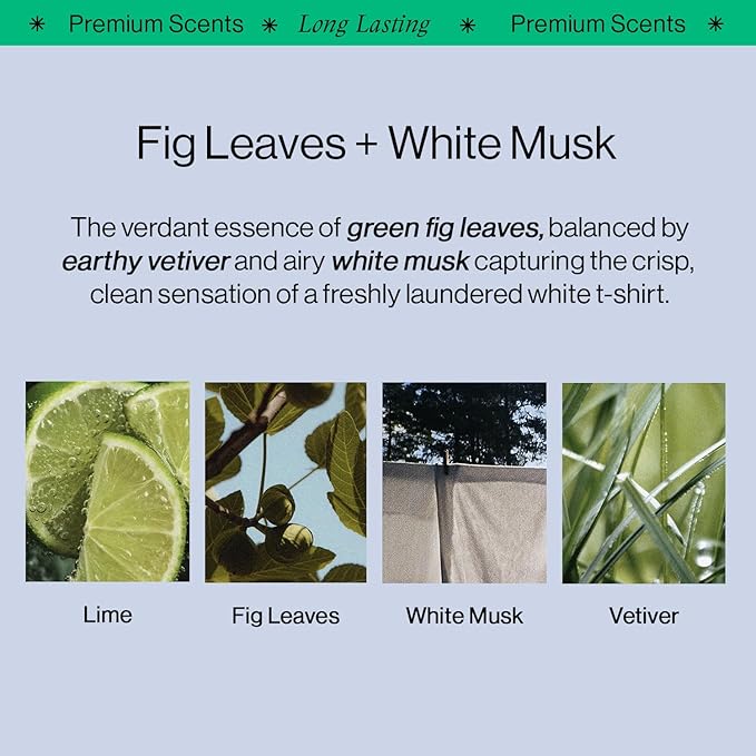 OffCourt Sulfate-Free Body Wash for Men & Women - Non-Drying Exfoliator with Glycolic & Lactic Acids Leaves Skin Fresh & Smooth with Fig Leaves and White Musk Scent, 14 Fl. Oz (Pack of 1)