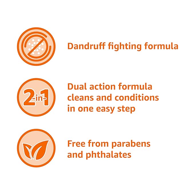 Amazon Basics 2-in-1 Anti-Dandruff Shampoo & Conditioner, Itch Relief, Safe for All Hair Types, Paraben-Free, Gentle and pH Balanced, 14.2 Fluid Ounces, 1-Pack (Previously Solimo)