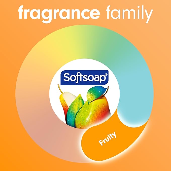 Softsoap Body Wash, Pomegranate & Mango Spritz Body Wash, 20 Fl Oz (Pack of 4)