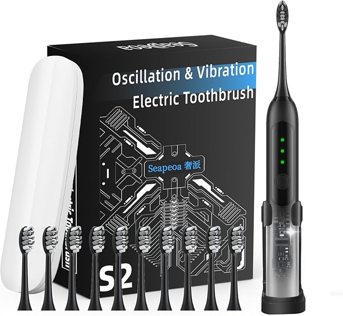 Adult Sonic Electric Toothbrush with 10 Brush Heads, Travel case, and wall Bracket, Suitable for Both Adults and Children, IPX8 Waterproof, USB Charging, 42000VPM, Black