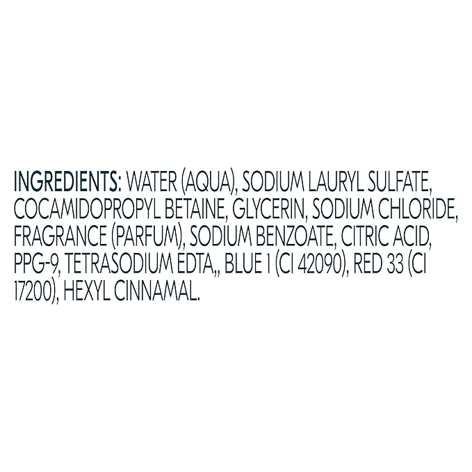 Degree All Day Fresh Body Wash Cool Rush Deep Cleansing 20 FO