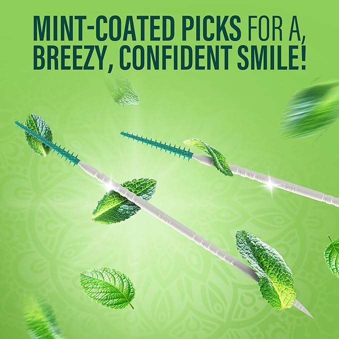 GuruNanda 2-in-1 QuickPik Toothpick & Interdental Pick – Soft Rubber Bristles for Plaque Removal & Improved Oral Care, Comes with a Travel Case for On-The-Go Use, 300 Ct