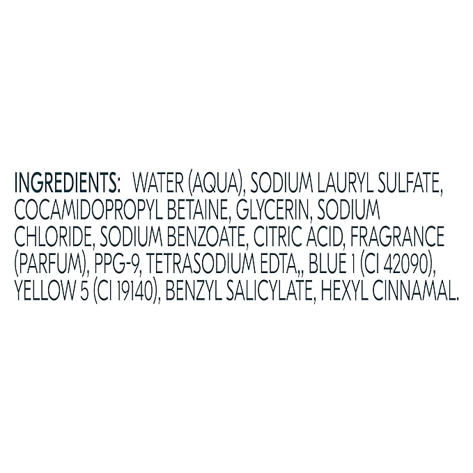 Degree All Day Fresh Body Wash Fresh Energy Deep Cleansing 20 FO