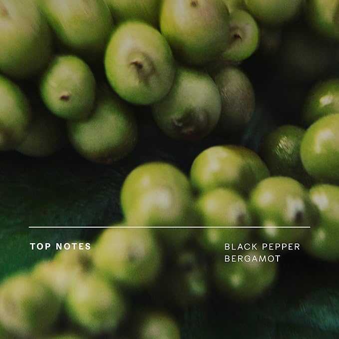 Future Society Floating Forest Perfume - Rich Aquatic Floral Eau de Parfum with Notes of Bergamot, Freesia, Rose & Mask - Luxury Perfume Inspired by Rainforests - Modern Unisex Fragrance - 50ml