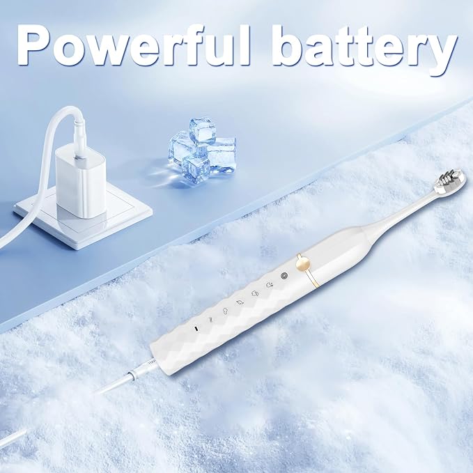 Electric Toothbrush Set, Equipped with 10 Brush Heads and Travel case, IPX8 Waterproof, 2-Minute Timer, 42000 high-Frequency Vibrations, 5 Modes, The First Choice for Gift Giving