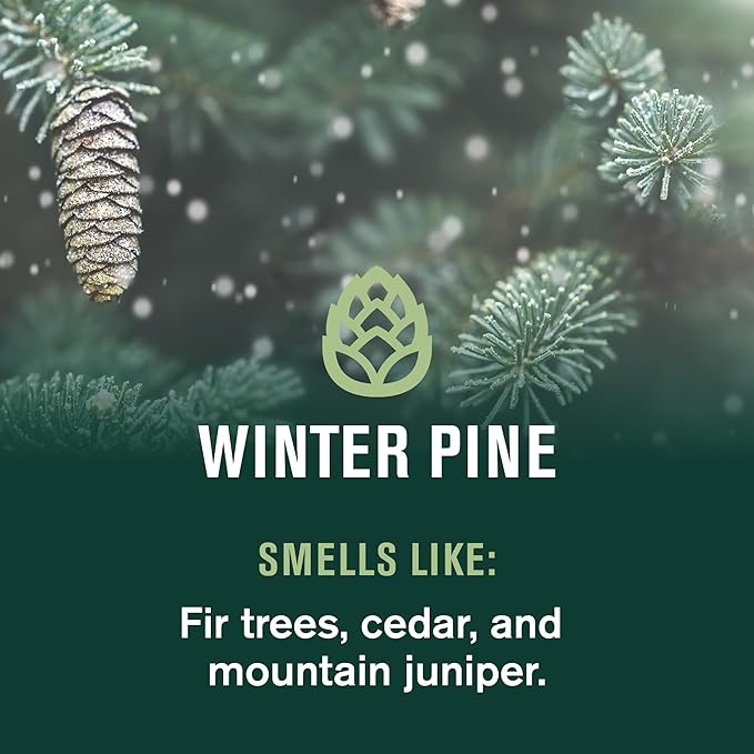 Every Man Jack Hydrating Body Wash - Winter Pine - Deeply Clean with Glycerin + Naturally Derived Ingredients - 13.5 oz (2 Pack)