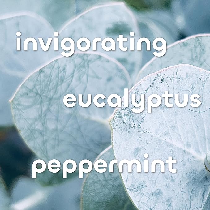 The Seaweed Bath Co. Body Cream, Eucalyptus & Peppermint